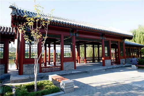 匠心雕琢，藝承古今——嘉興仿古門窗與東陽藝隆古建工程的傳承與創(chuàng)新